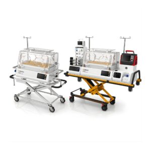 Transport Incubator BT800